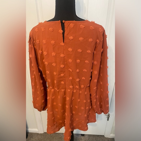 Polka Dot Lantern Sleeve Ruffles Blouse - Picture 3 of 4